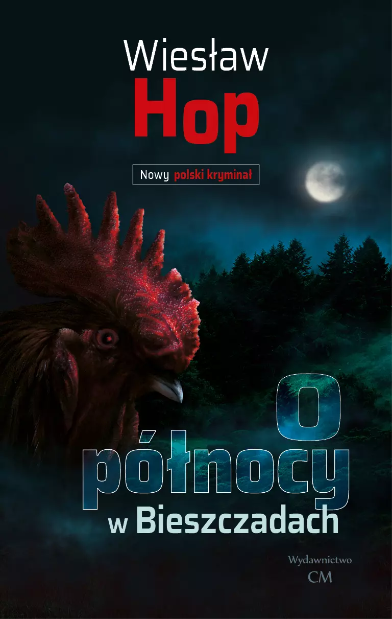 O północy w Bieszczadach - Książki