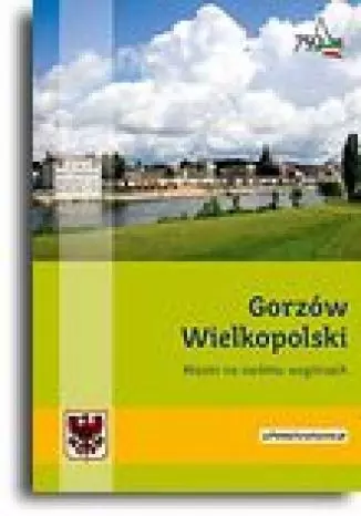 Gorzów Wielkopolski. Miasto na siedmiu wzgórzach - Książki