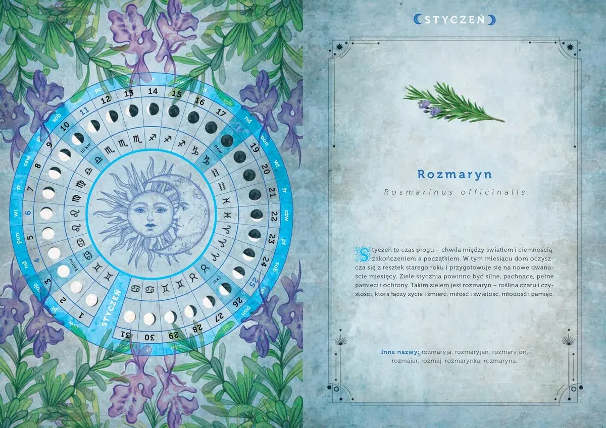 Czarowny kalendarz 2026 (więcej miejsca na zapiski) - Książki