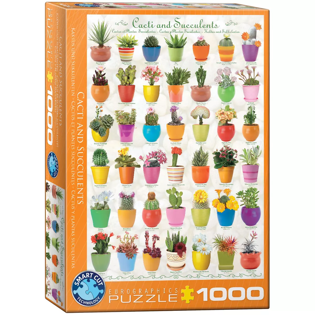 Puzzle 1000 elementów. Cacti & Succulents - Puzzle