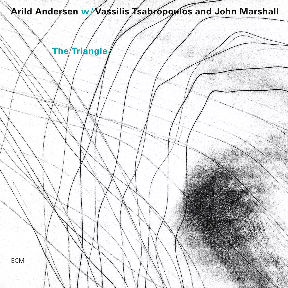The Triangle, CD - Muzyka