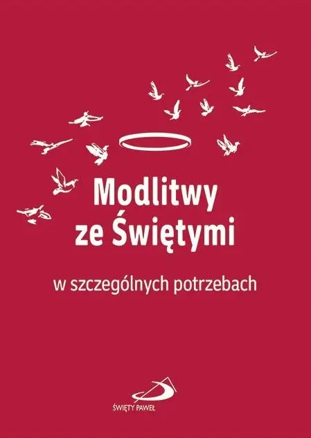 Modlitwy ze Świętymi w szczególnych potrzebach - Książki