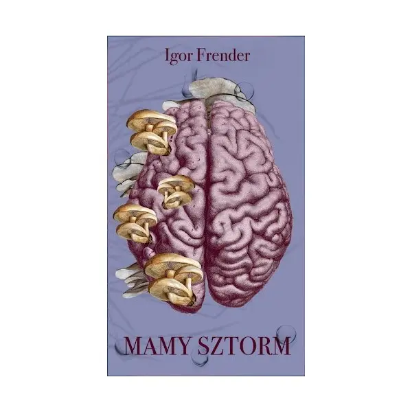 Mamy sztorm - Książki