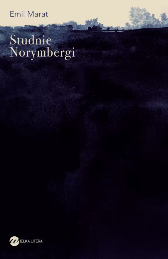 Studnie Norymbergi - Książki