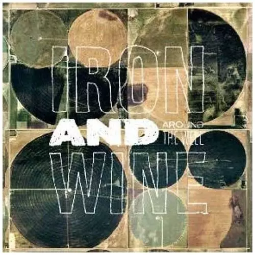 Around The Well. Winyl - Muzyka
