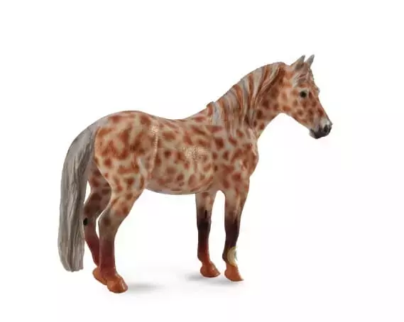 Klacz British Spotted Pony maści kasztan Leopard XL - Książki