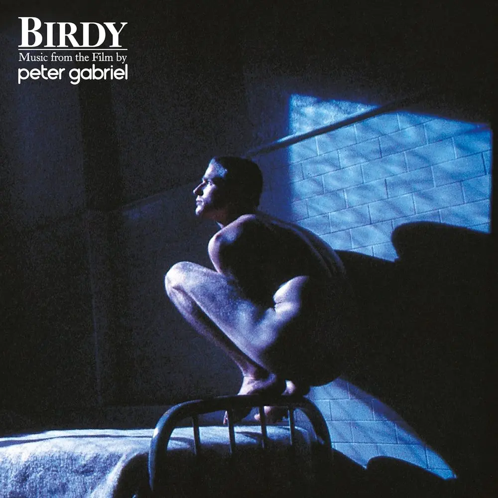 Birdy OST LP, Winyl - Muzyka