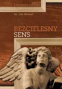 Bezcielesny sens. Szkice z filozofii kultury - Książki