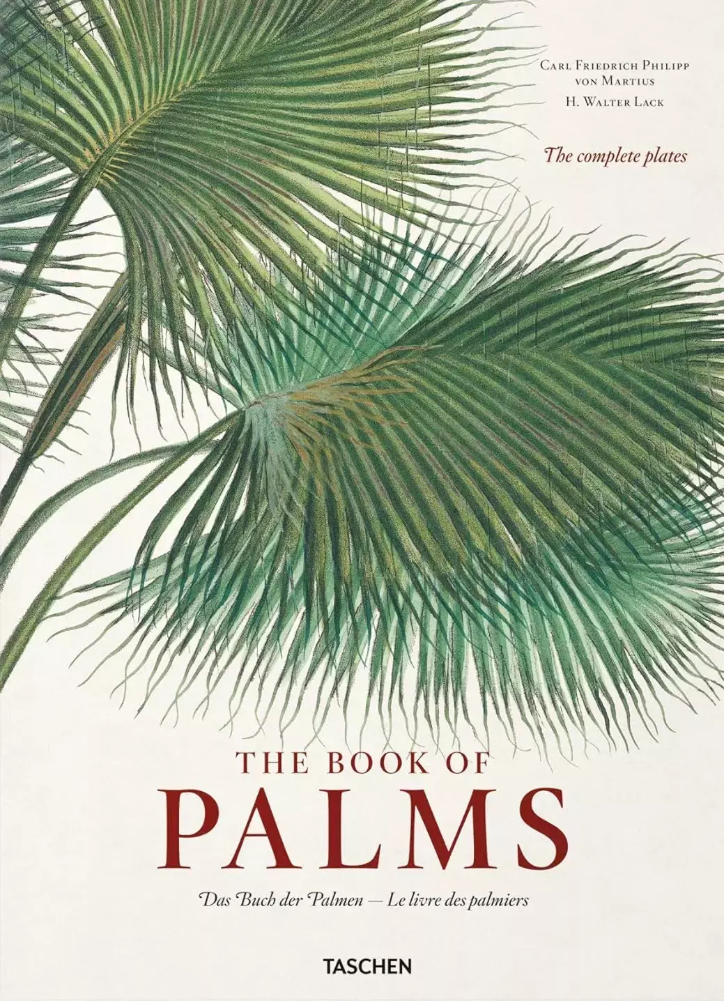 Martius. The Book of Palms. 40th Ed. - Książki