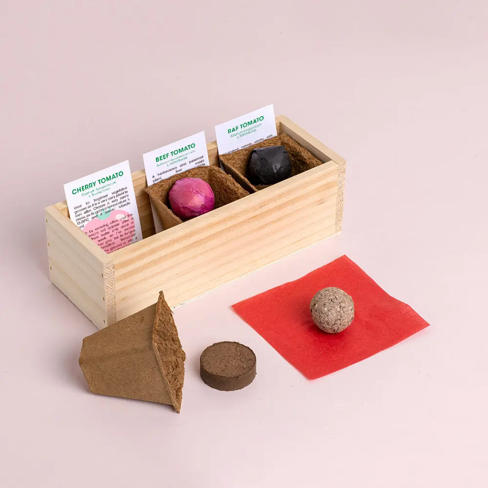 Mini ogród Resetea – Pomidory - Zabawki