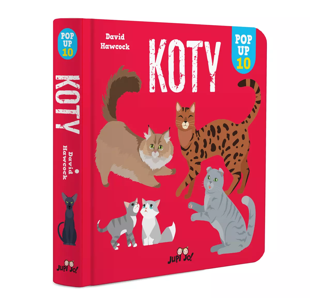 Koty. POP-UP 10 - Książki