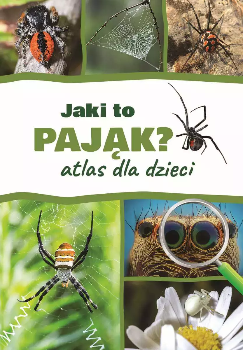 Jaki to pająk? Atlas dla dzieci - Książki