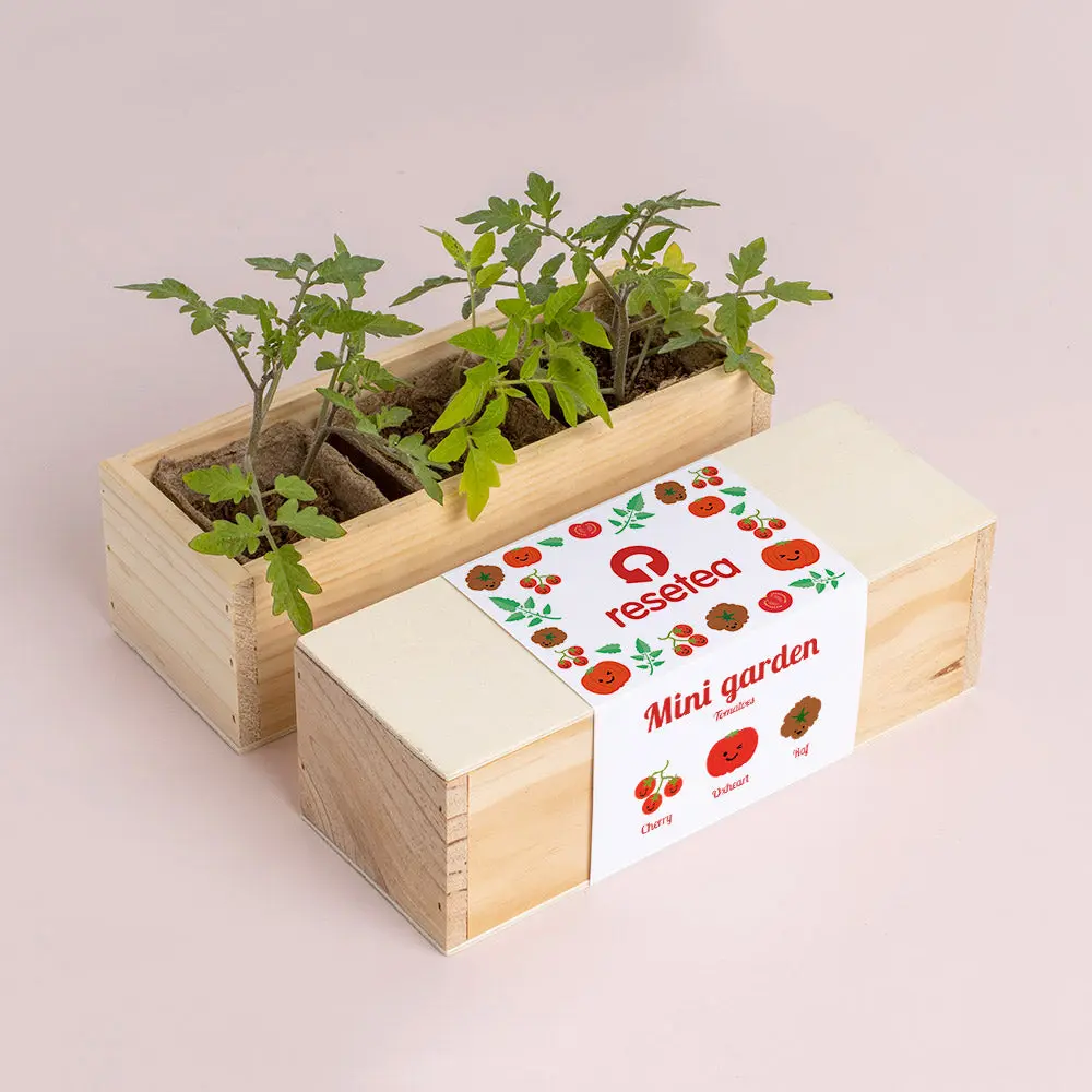 Mini ogród Resetea – Pomidory - Zabawki
