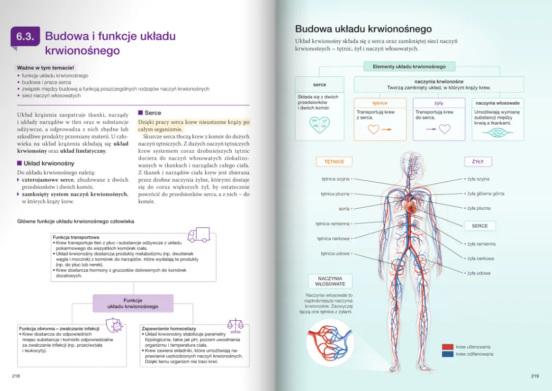Nowa Biologia na czasie 3. Podręcznik dla liceum ogólnokształcącego i technikum. Zakres rozszerzony. Nowość 2026 - Książki