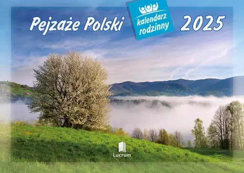 Kalendarz 2025 Rodzinny Pejzaże Polski - Książki