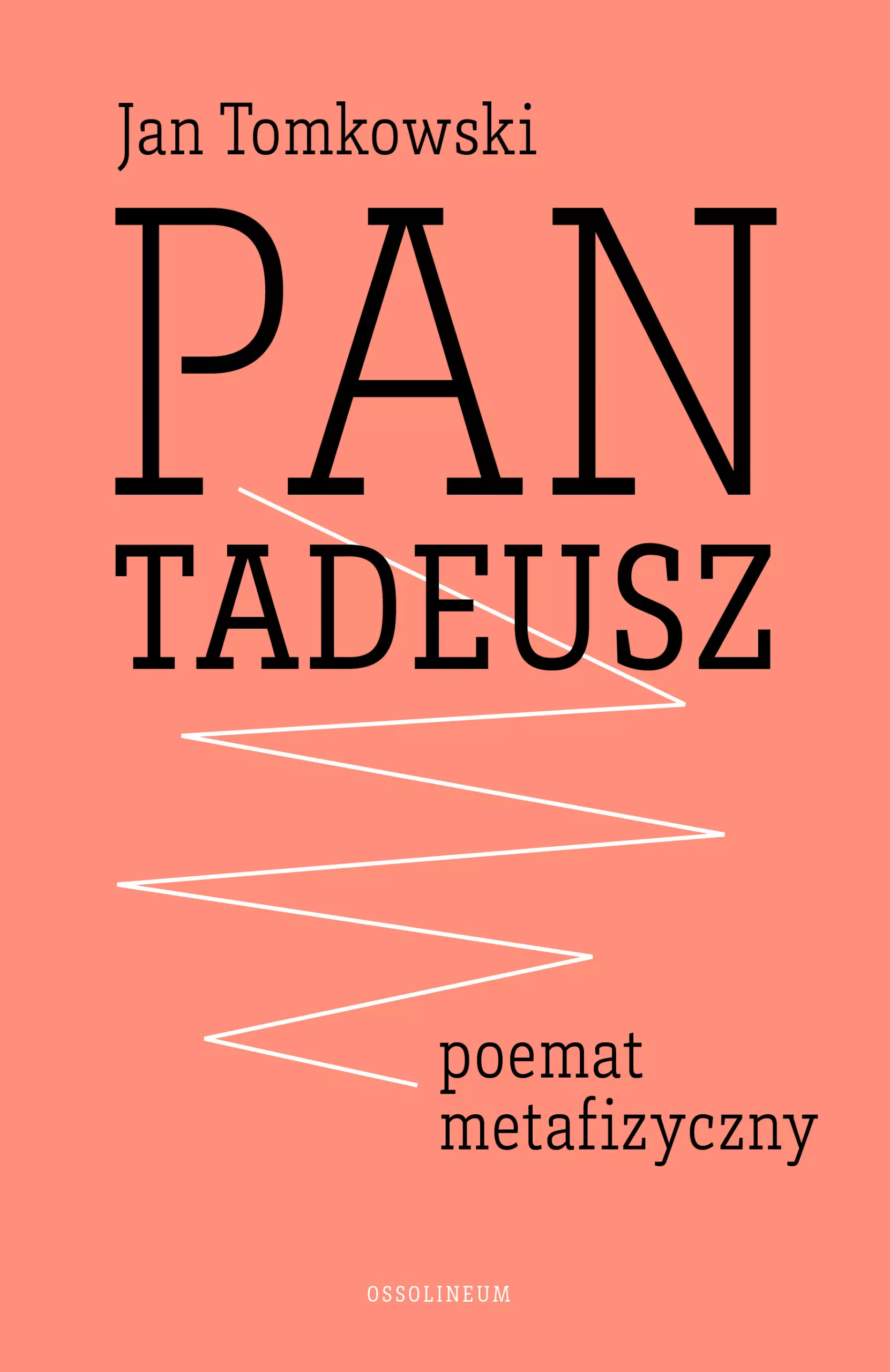 Pan Tadeusz. Poemat metafizyczny - Książki