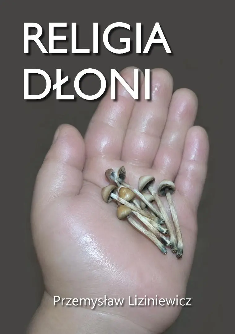 Religia dłoni - Książki