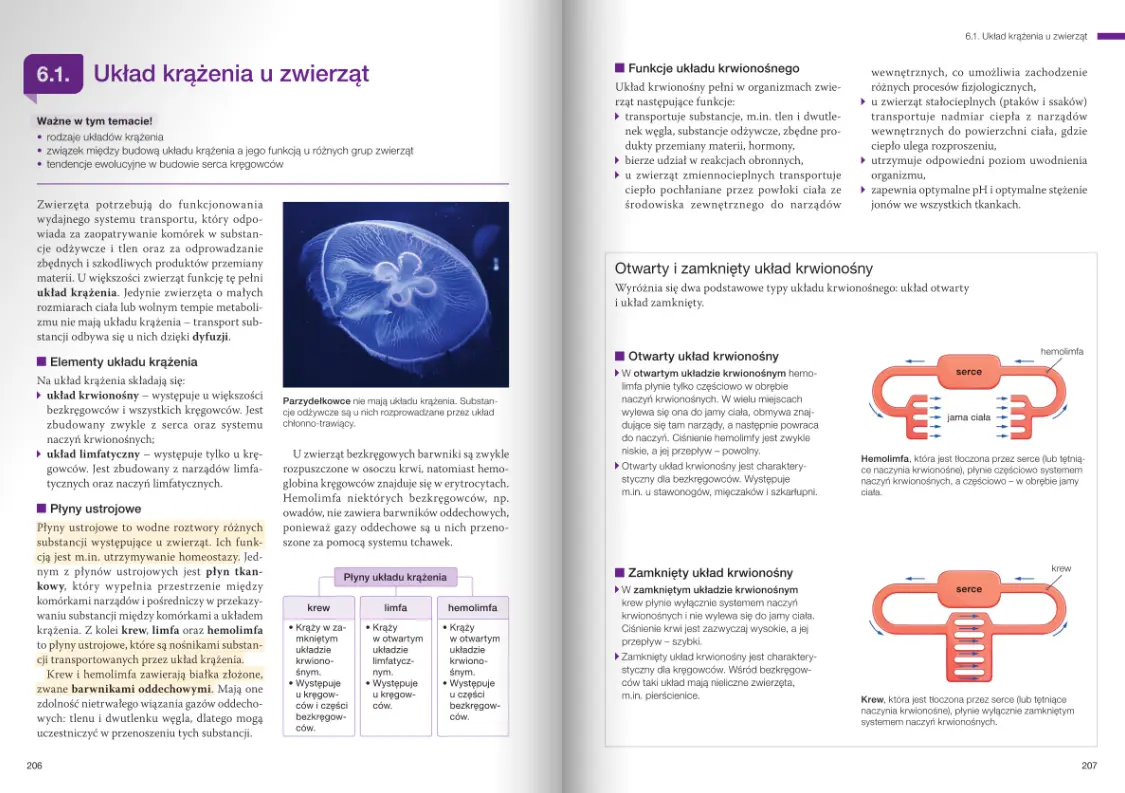 Nowa Biologia na czasie 3. Podręcznik dla liceum ogólnokształcącego i technikum. Zakres rozszerzony. Nowość 2026 - Książki