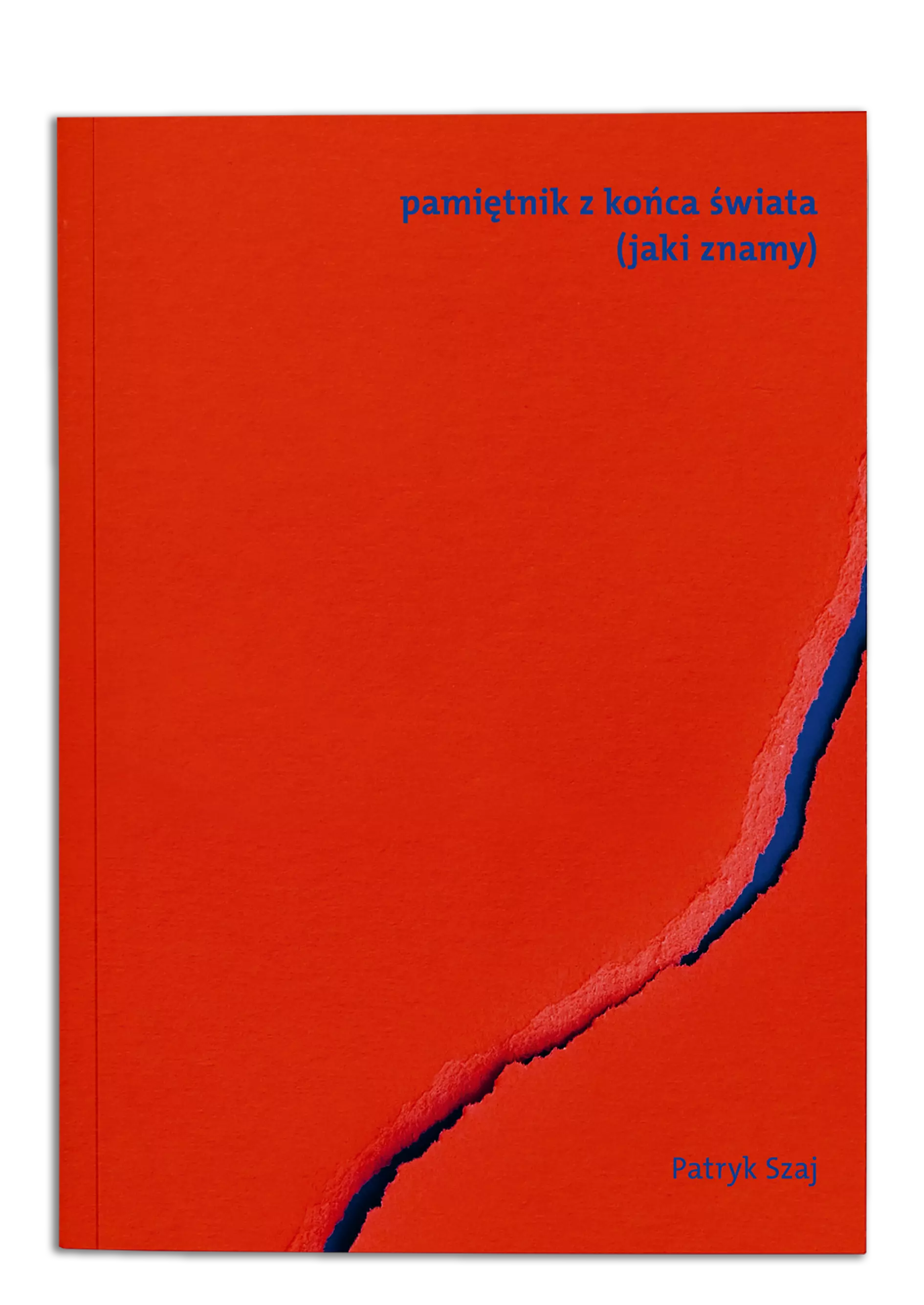 Pamiętnik z końca świata (jaki znamy) - Książki