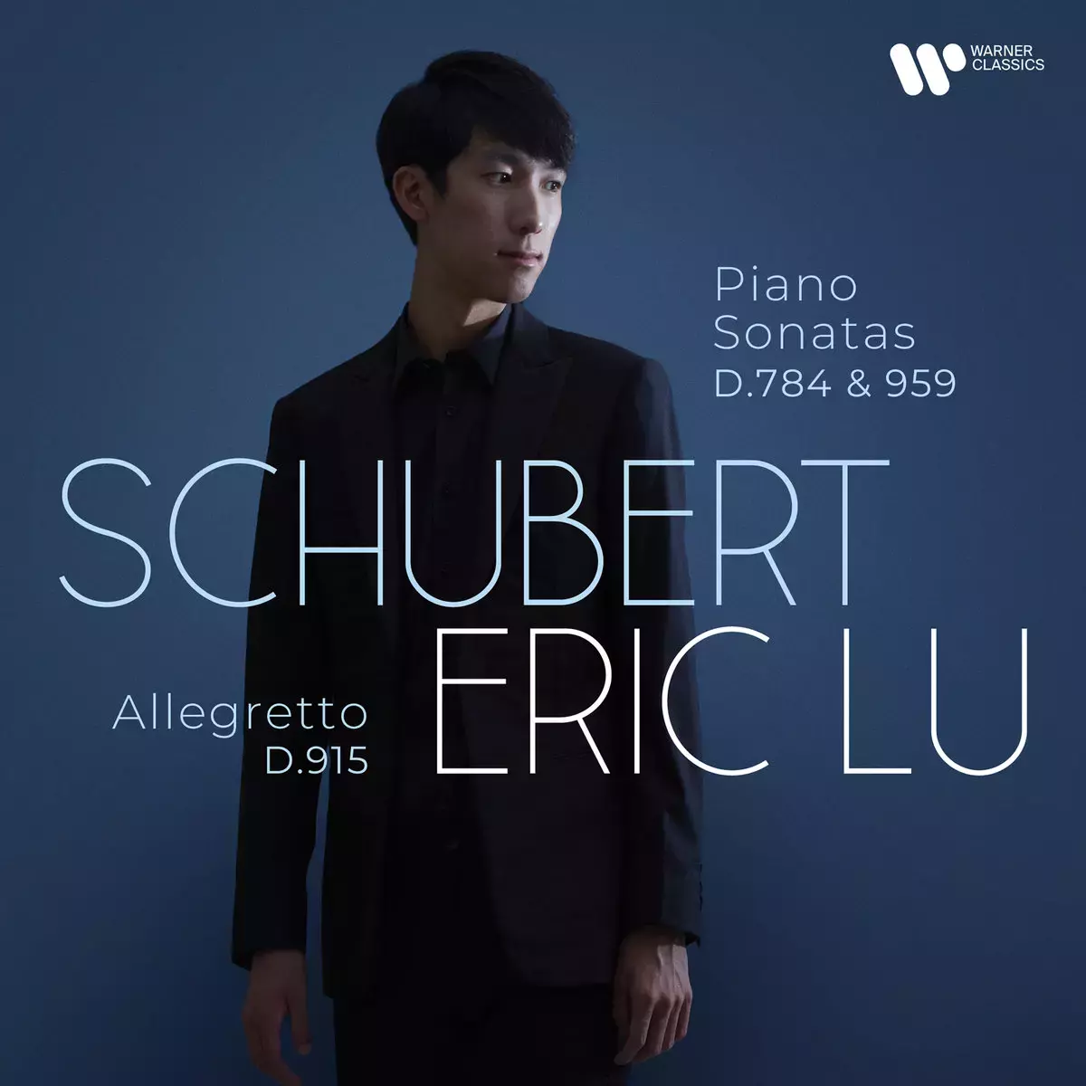 Schubert: Piano Sonatas D.784 & D.959; Allegretto D.915. CD - Muzyka