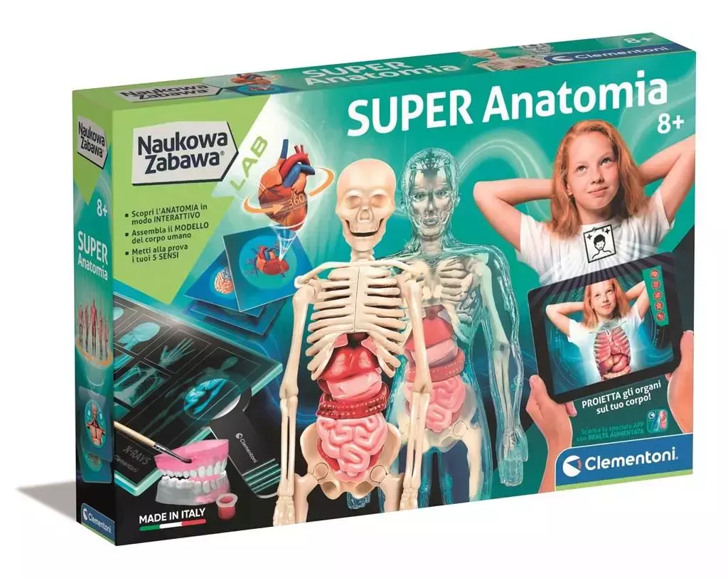 Naukowa zabawa. Super Anatomia - Zabawki