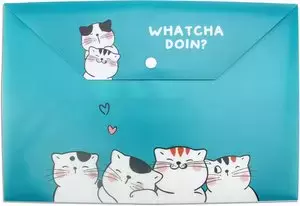 Teczka A4 plastikowa zatrzask So Many Cats mix M&G - Papiernicze i szkolne