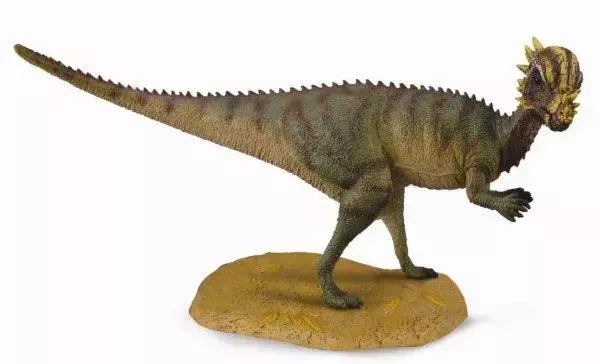 Dinozaur Pachycephalosaurus - Książki