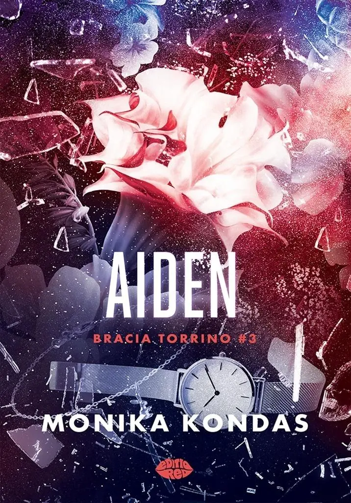 Bracia Torrino T.3 Aiden - Książki