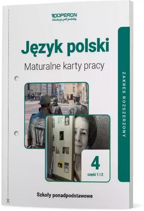 J. polski LO 4 Maturalne karty pracy ZR Linia I - Książki