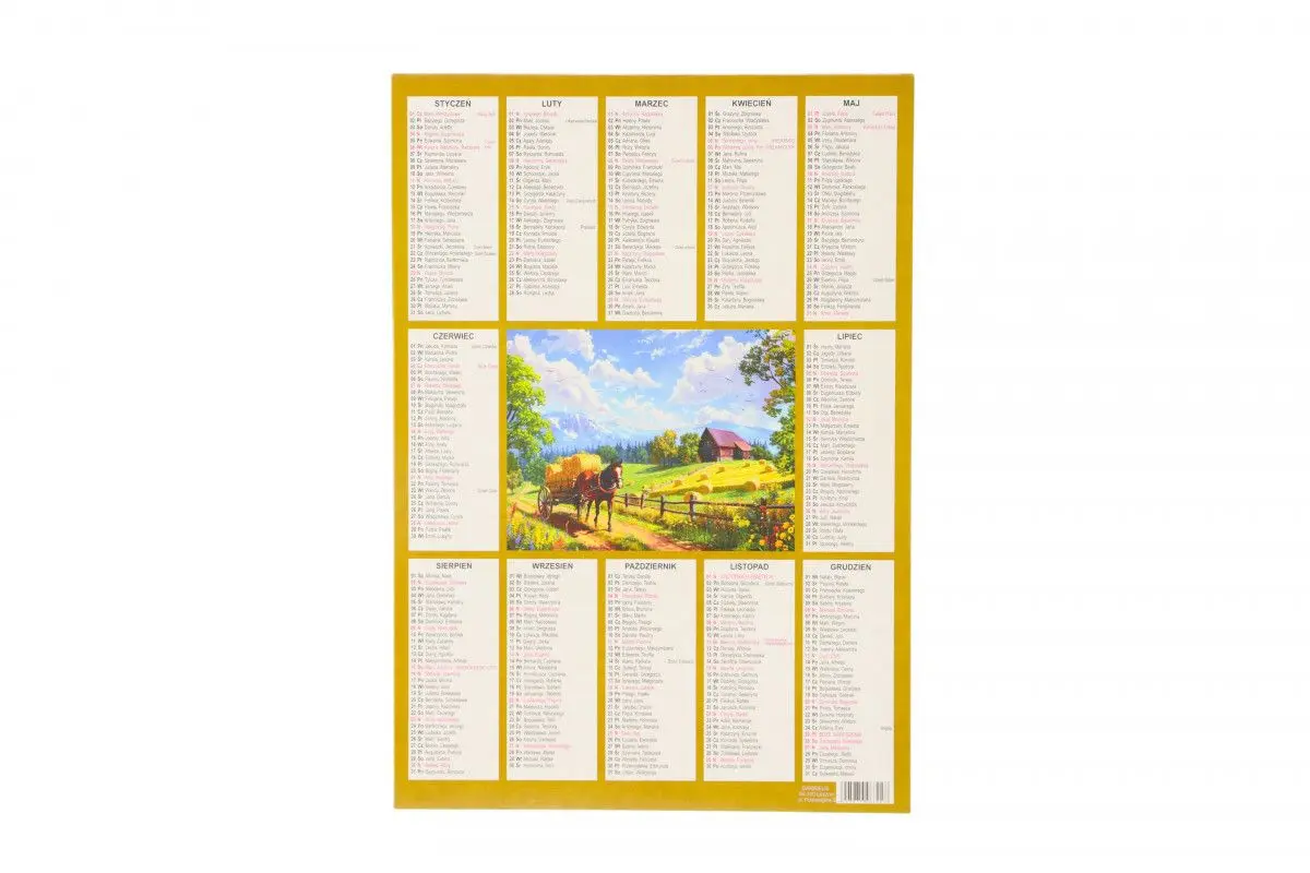 Kalendarz ścienny plakietka 240mm x 340mm Darrieus - Książki