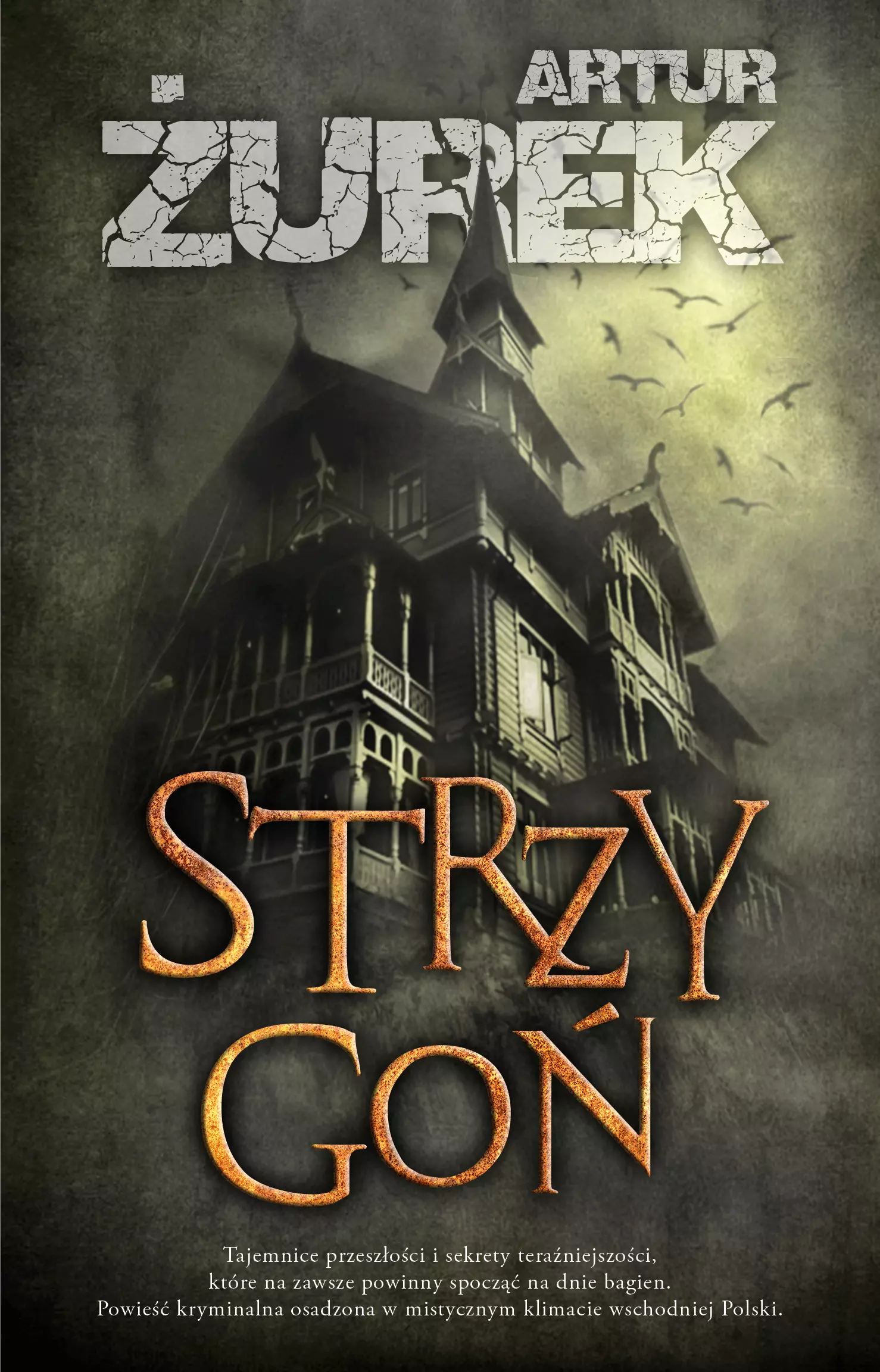 Strzygoń - Książki