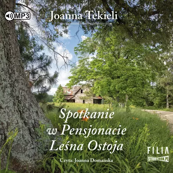 Spotkanie w Pensjonacie Leśna Ostoja. Audiobook - Audiobooki