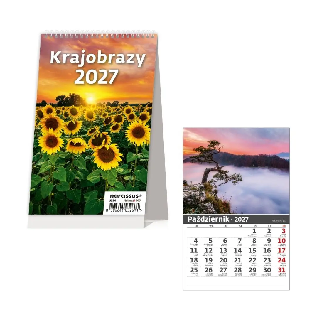 Kalendarz 2027 biurkowy miesięczny pionowy - Książki