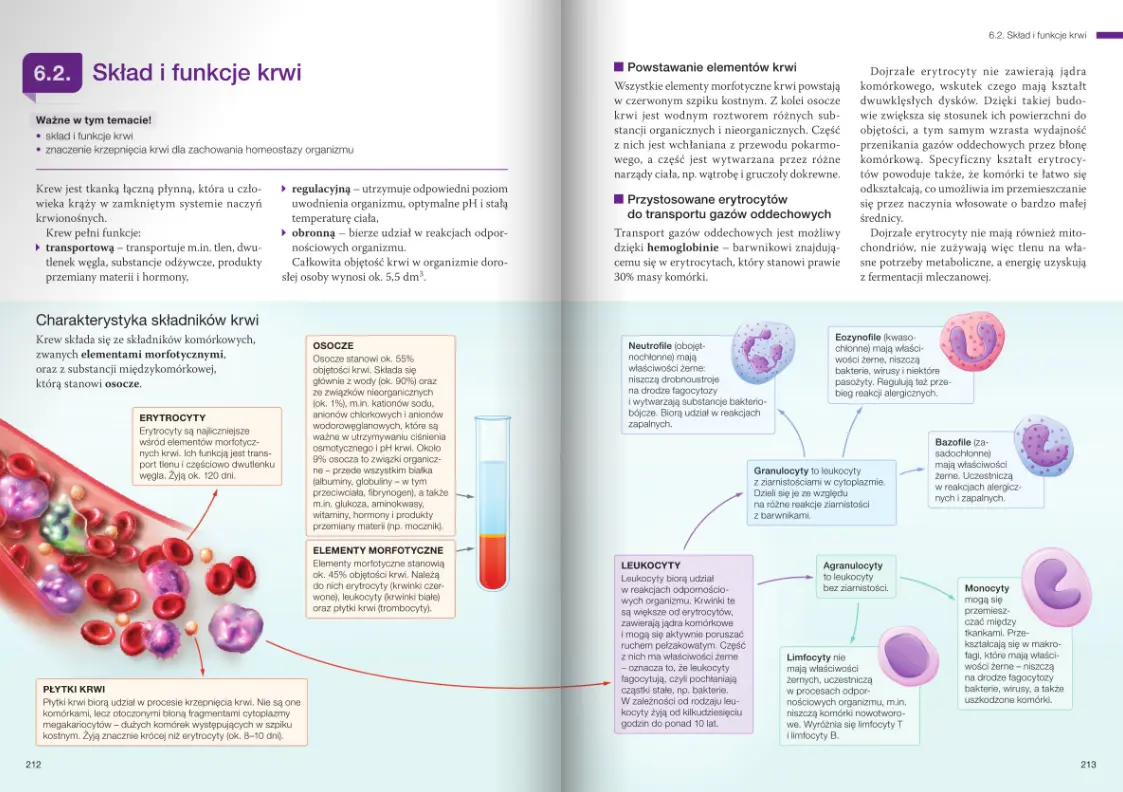 Nowa Biologia na czasie 3. Podręcznik dla liceum ogólnokształcącego i technikum. Zakres rozszerzony. Nowość 2026 - Książki