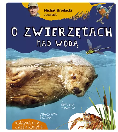 Michał Brodacki opowiada o zwierzętach nad wodą - Książki