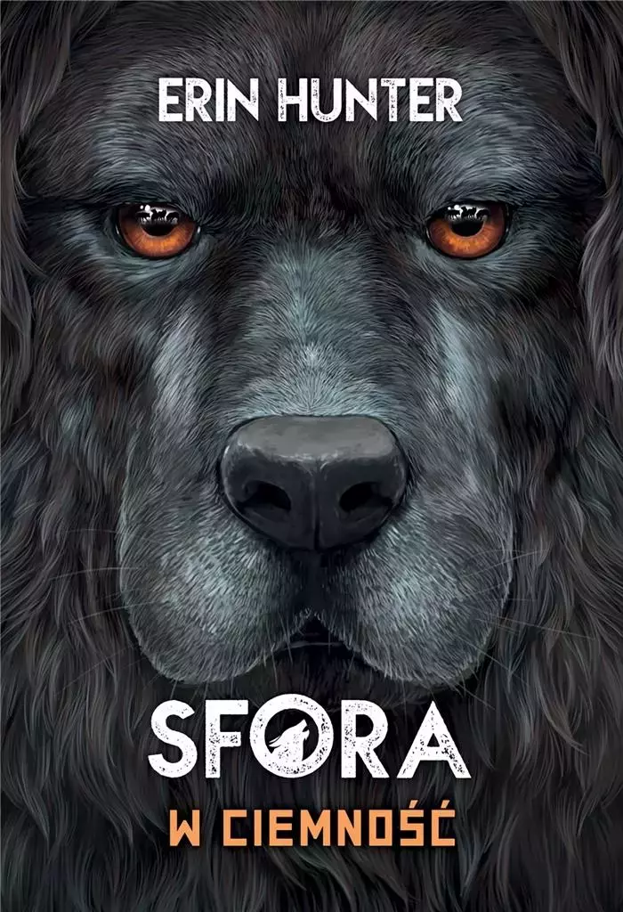 Sfora. Tom 3. W ciemność - Książki