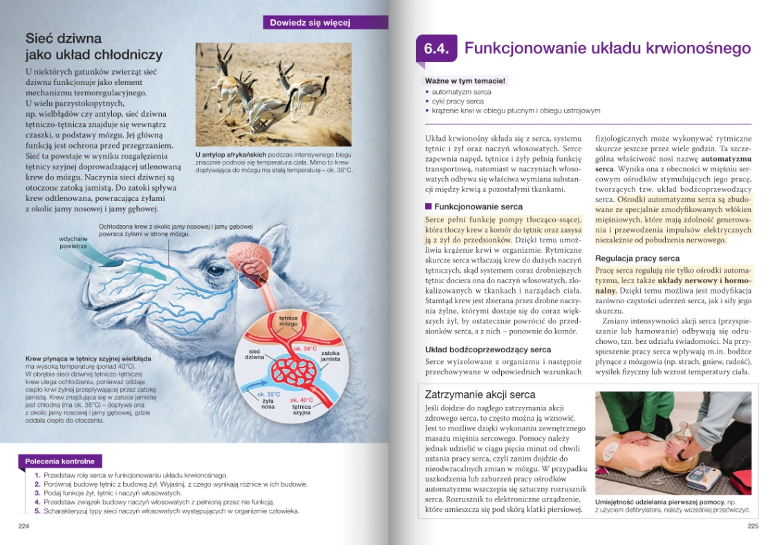 Nowa Biologia na czasie 3. Podręcznik dla liceum ogólnokształcącego i technikum. Zakres rozszerzony. Nowość 2026 - Książki