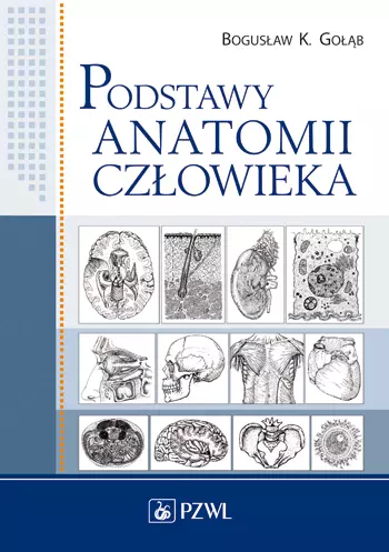 Podstawy anatomii człowieka - Książki