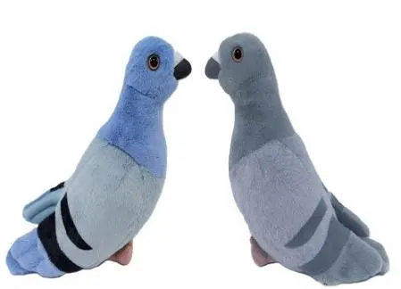 Gołąb 22cm MIX - Zabawki