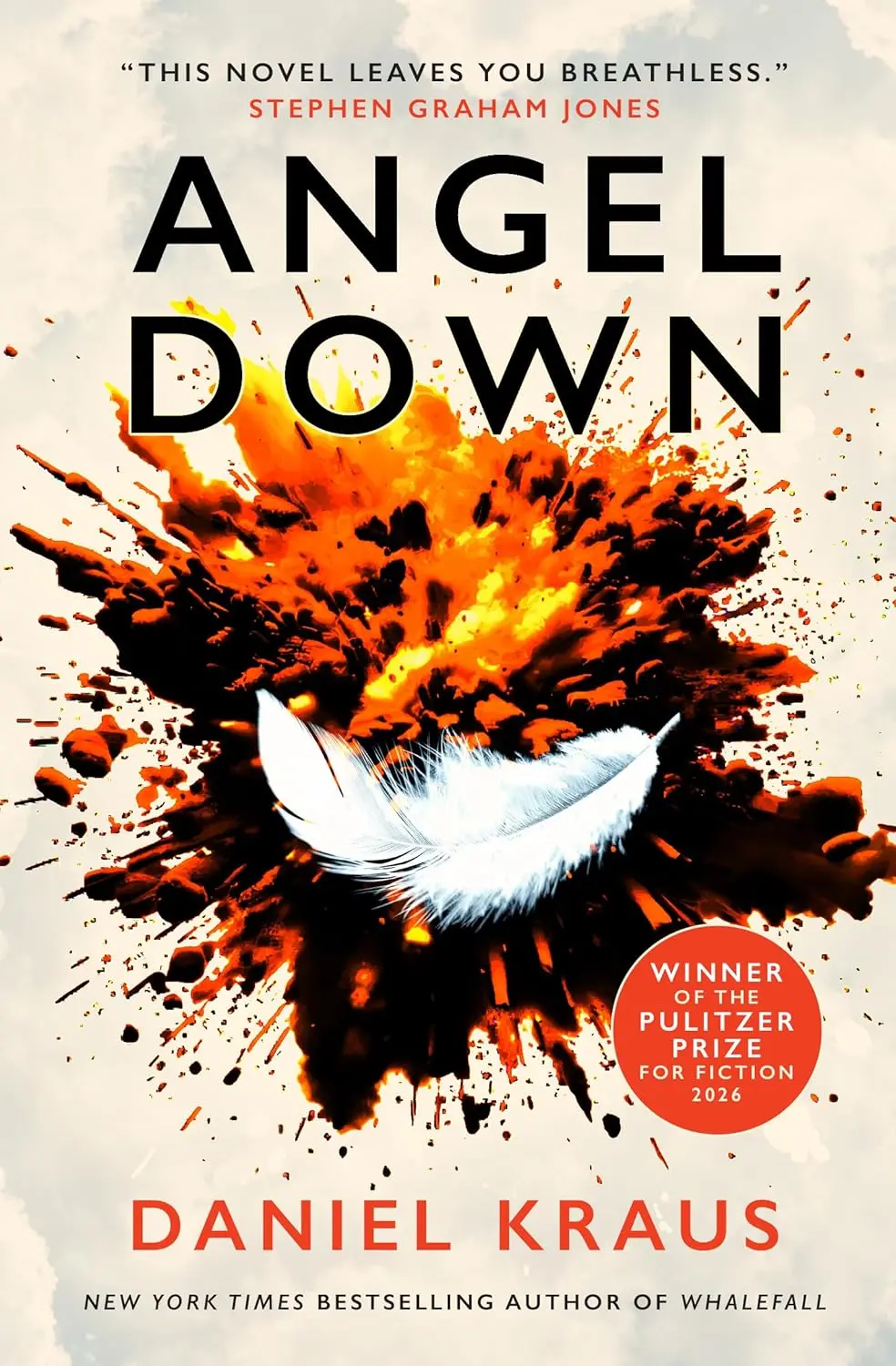 Angel Down - Książki