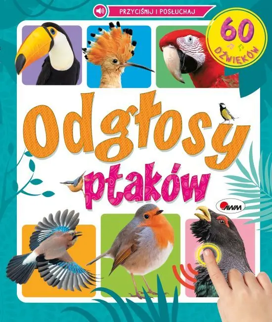 Odgłosy ptaków. 60 dźwięków - Książki
