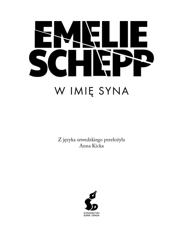 W imię syna - Książki