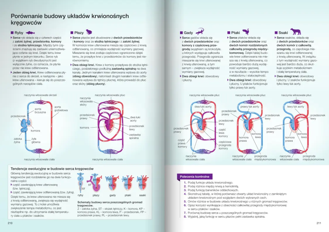 Nowa Biologia na czasie 3. Podręcznik dla liceum ogólnokształcącego i technikum. Zakres rozszerzony. Nowość 2026 - Książki