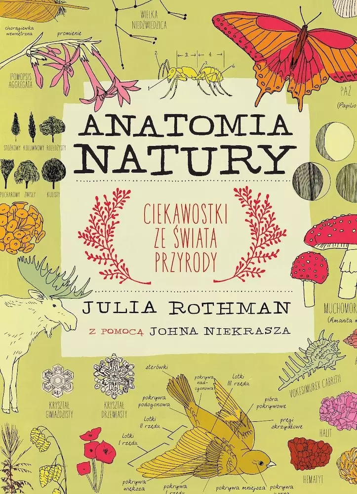 Anatomia natury. Ciekawostki ze świata przyrody - Książki