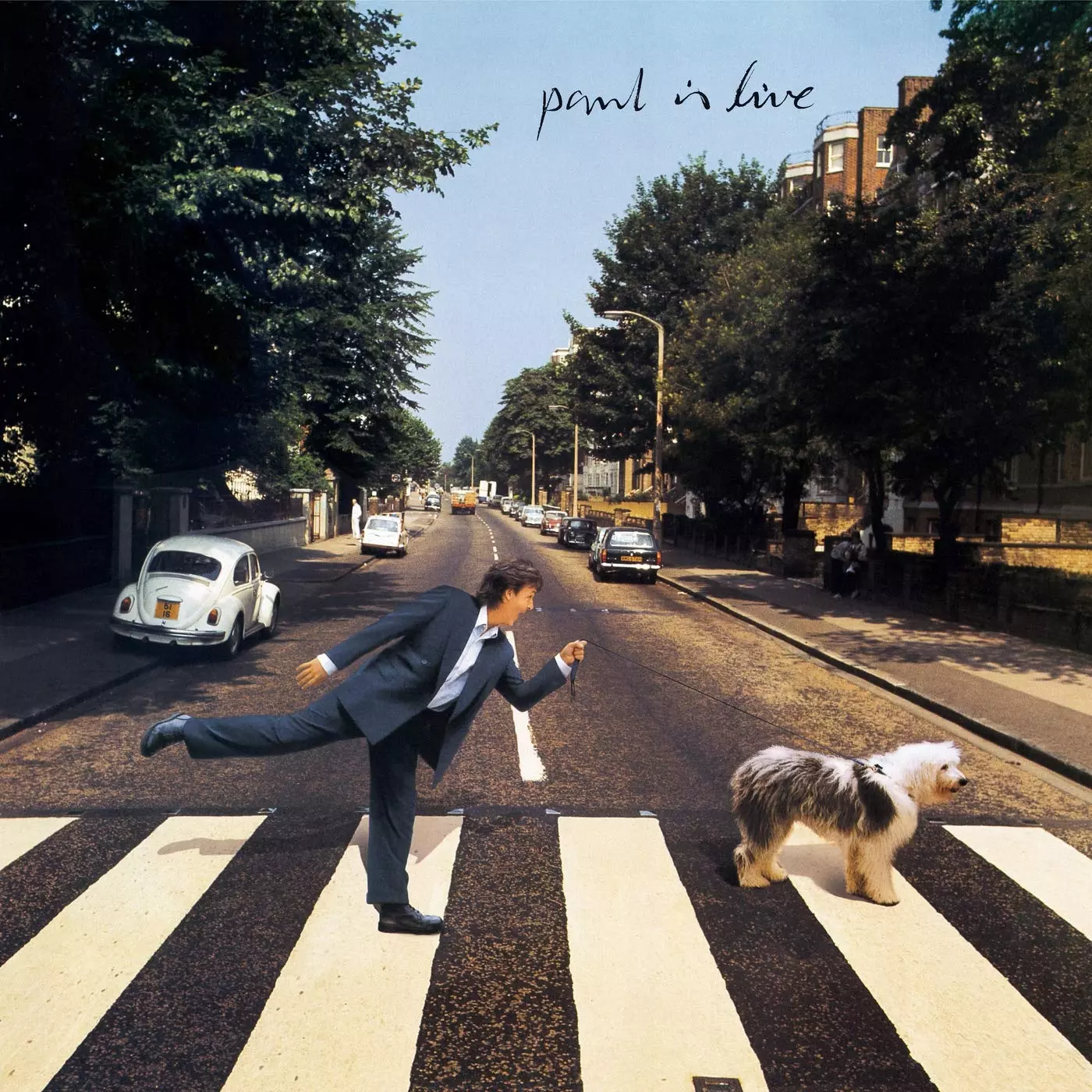 Paul Is Live, Winyl - Muzyka