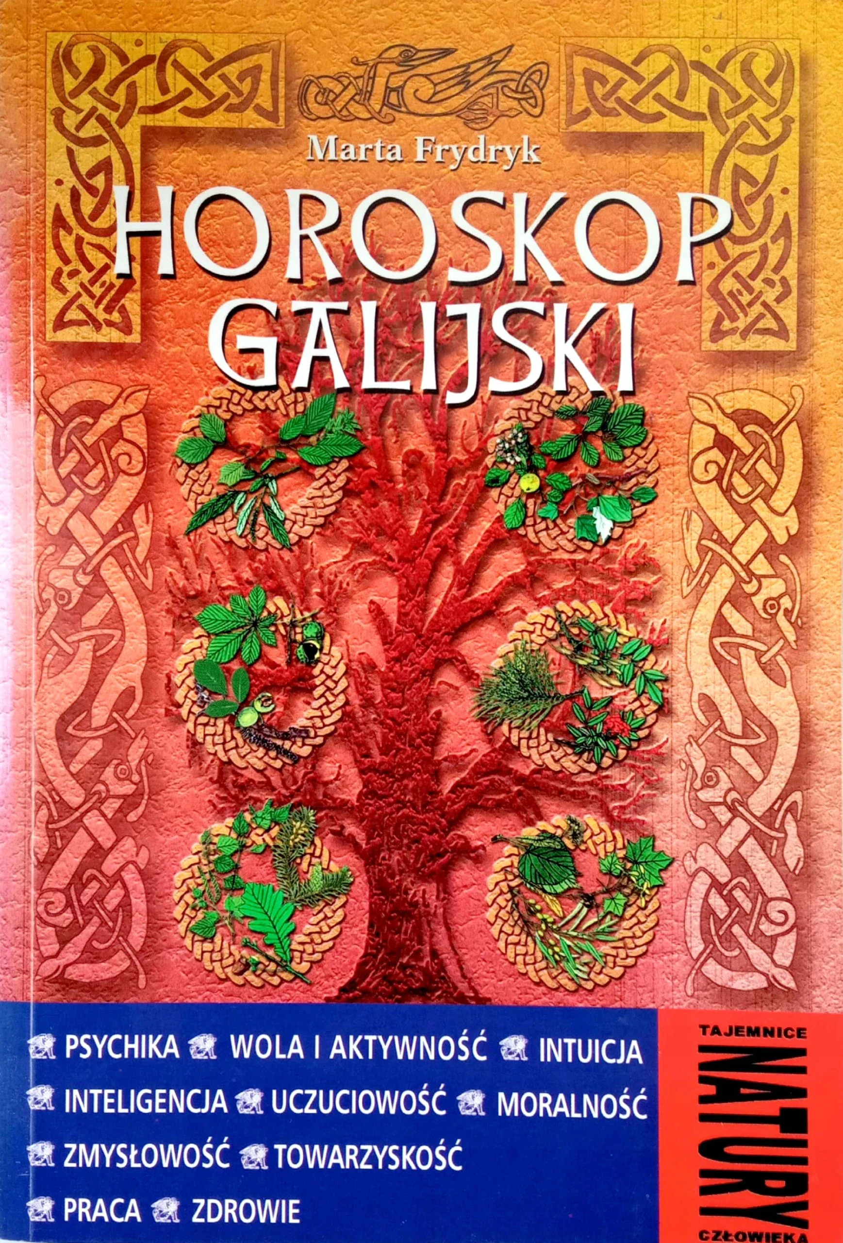Horoskop galijski - Książki