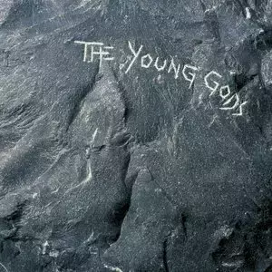 The Young Gods LP, Winyl - Muzyka