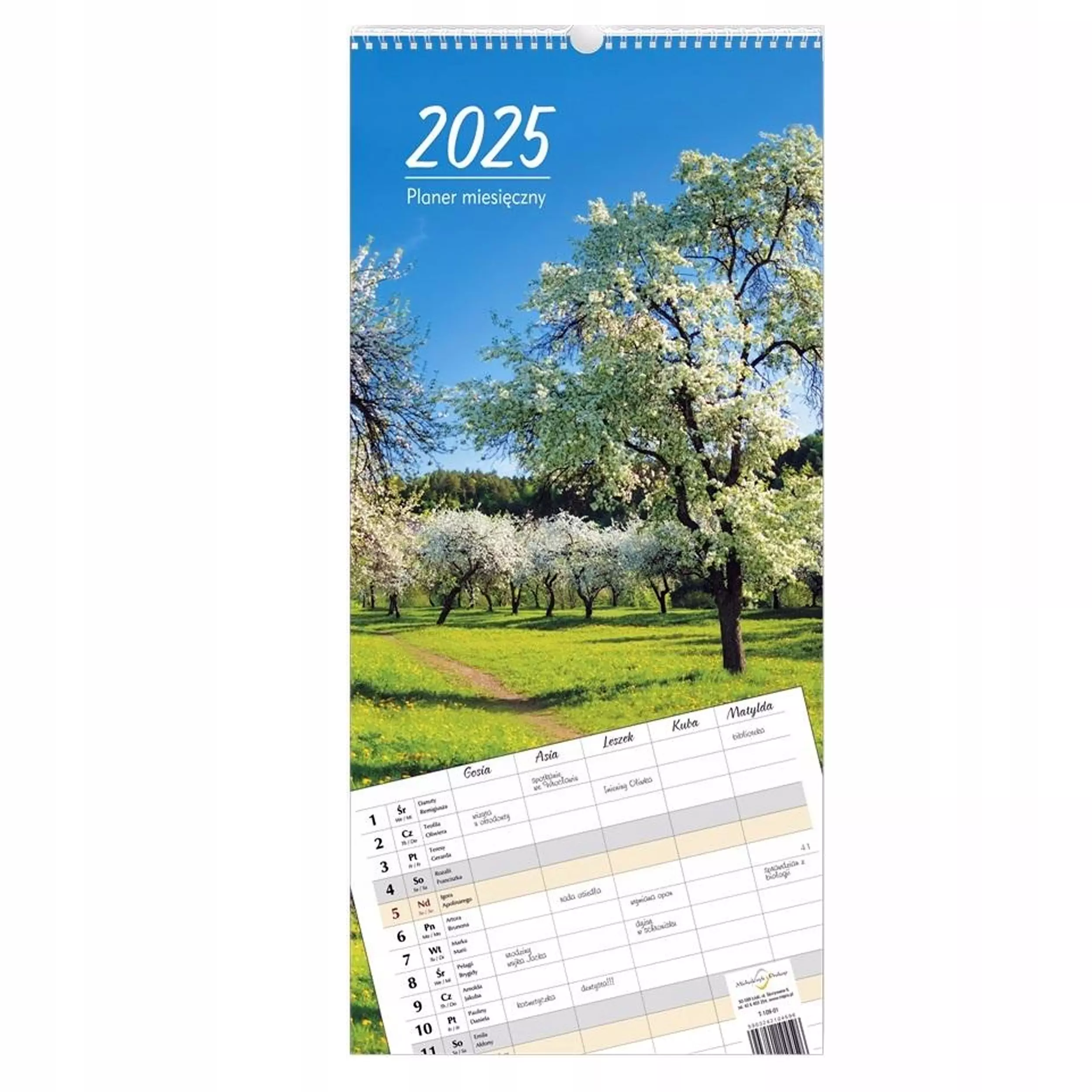 PLANER MIESIĘCZNY 2025 KRAJOBRAZY 12 STRON T-109-01 MICHALCZYK I PROKOP - Książki