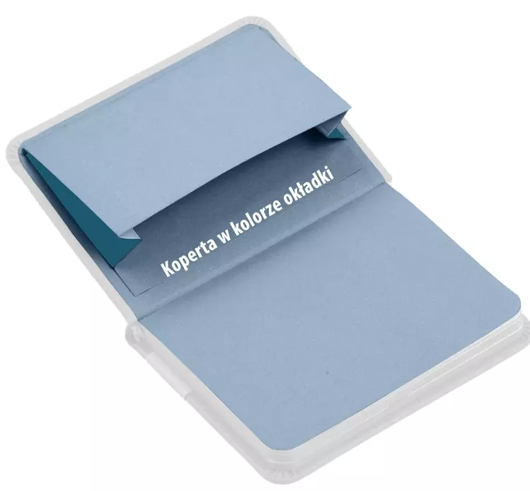 Kalendarz Pedagoga B6 2025-2026 Salsa, perłowy - Książki
