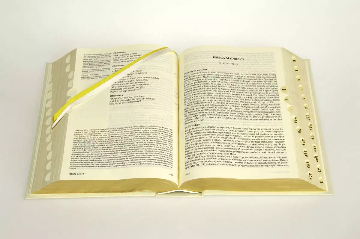 Pismo Św. ST i NT (standard format, twarda oprawa, paginatory, złocone brzegi kartek) - Książki